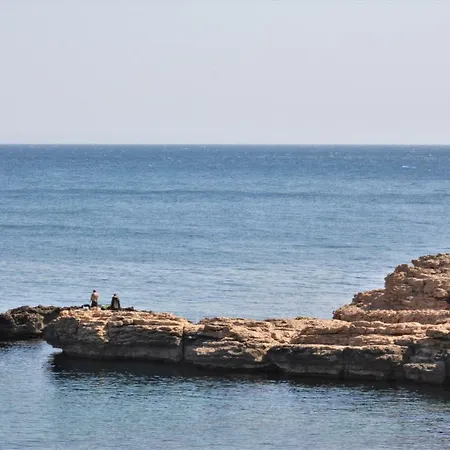 Catarina Villa